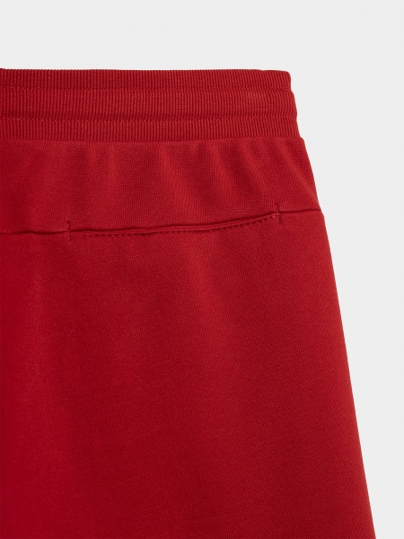 Шорти 4F SHORTS CAS M156 4FSS23TSHOM156-62S р. 3XL червоний