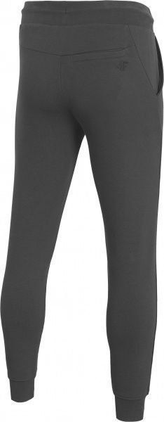Брюки 4F NOSD4-SPMD301-24S р. XL серый