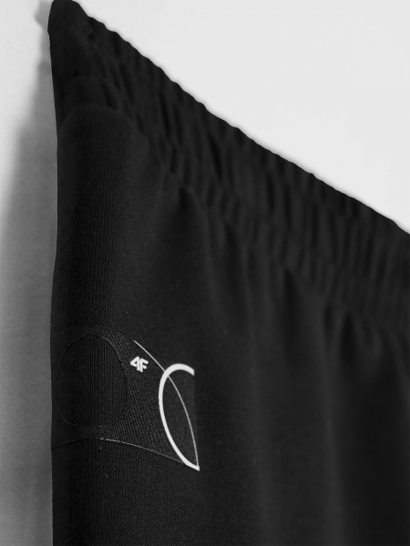 Шорти 4F 4FRSS23TSHOM375-20S р. L чорний