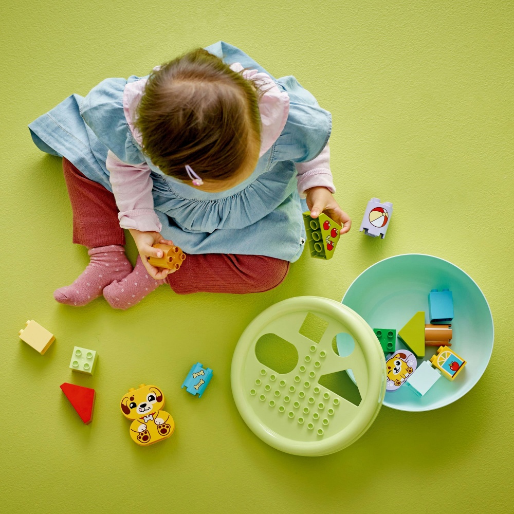 Конструктор LEGO DUPLO Сортировщик фигур: дом для щенков 10441