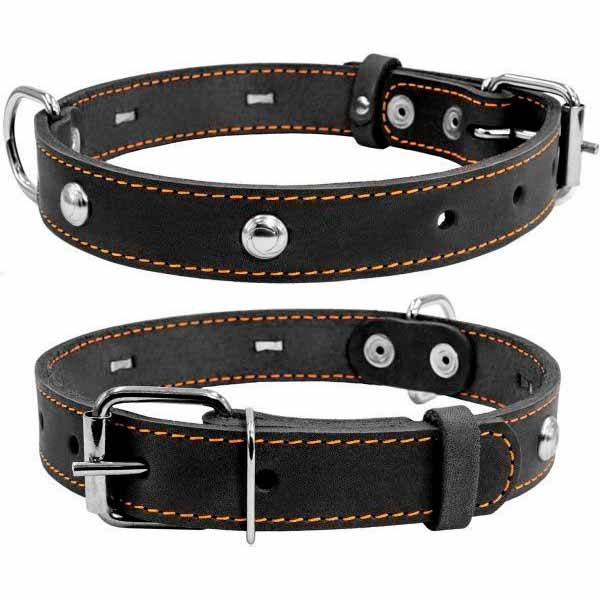 Ошейник Collar одинарный с украшениями 2x32-40см, черный