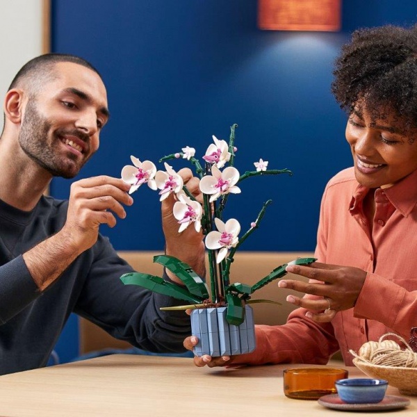 Конструктор LEGO Ideas Орхідея 10311