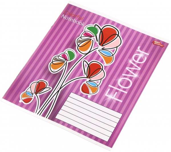 Тетрадь школьная 18 листов в линейку в ассортименте Мечты сбываются