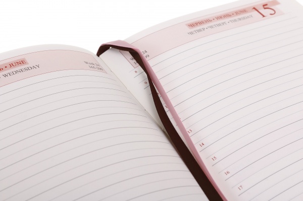 Щоденник датований Silva Leo Planner Silva A5 2023