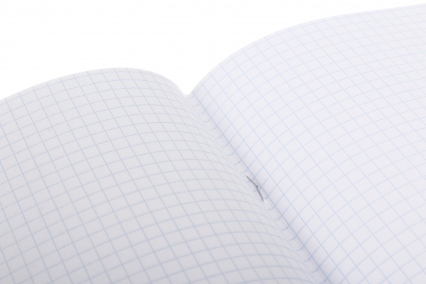 Тетрадь школьная Kitten 12 листов клетка Nota Bene