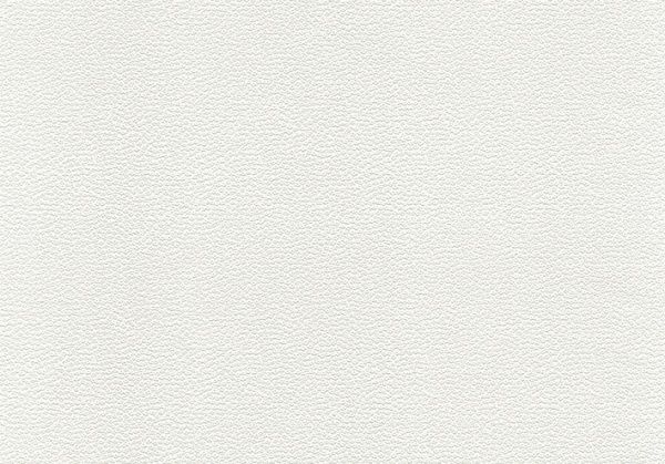 Шпалери вінілові на паперовій основі Vinil Аліна ВКП4-1176 0,53x10,05 м 