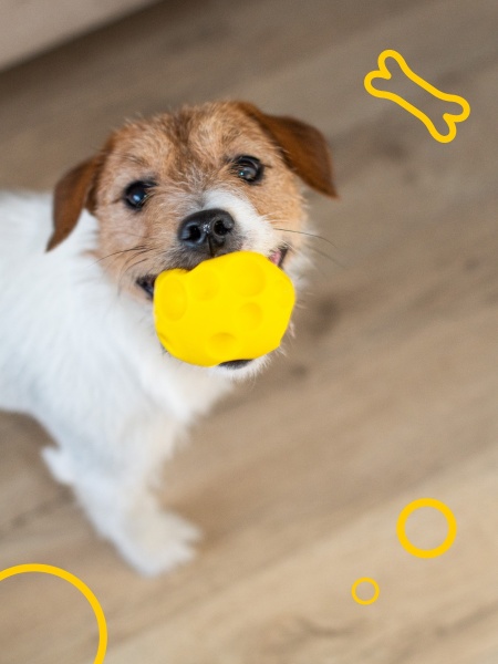 Игрушка для собак DGT-PETS Мячик Сырник PET2