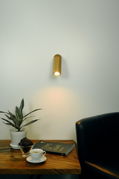 Светильник настенно-потолочный Iterna Alta spot светлый ясень 1xGU10 LW085