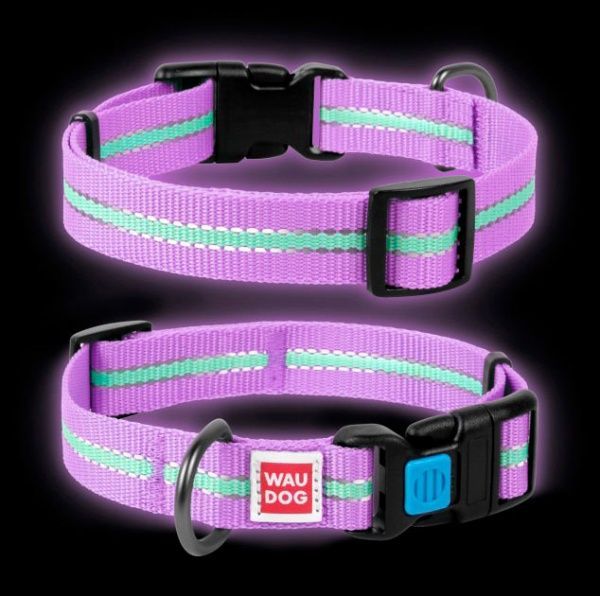 Нашийник WAUDOG Nylon світлонакопичувальний 1,5х23-35 см фіолетовий