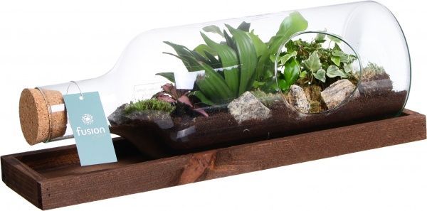 Террариум в бутылке горизонтальной 48х20 см