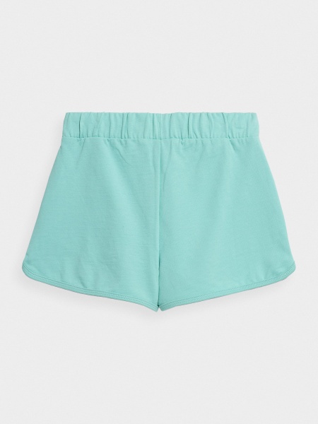 Шорти 4F 4FJSS23TSHOF099-47S р. 140 зелений