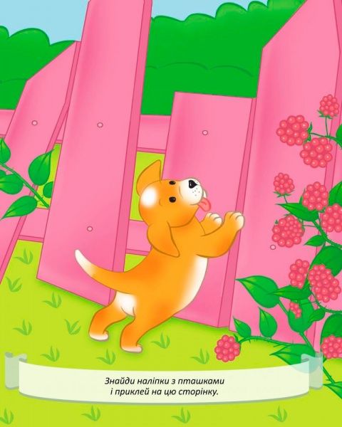 Книга Татьяна Клапчук «Цуценятко шукає пригоди» 978-966-939-531-3