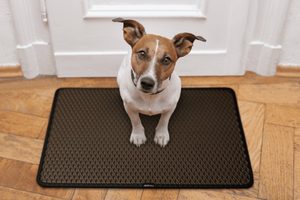 Коврик EVAtech Home ромб коричневый 40x60 см (KD43289KD1RZB)