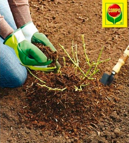 Торфосмесь универсальная Compo Sana 5 л + апликатор для зеленых расстений и пальм 30 мл 5 шт.