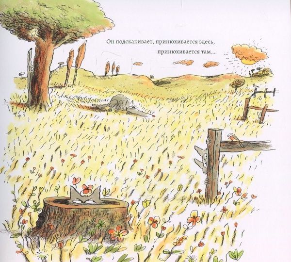 Книга Жіль Бізуерн «Хорошее настроение Серого волка» 978-617-7678-16-7