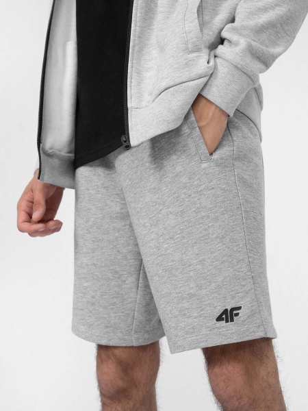 Шорти 4F 4FMM00TSHOM025-27M р. 3XL сірий