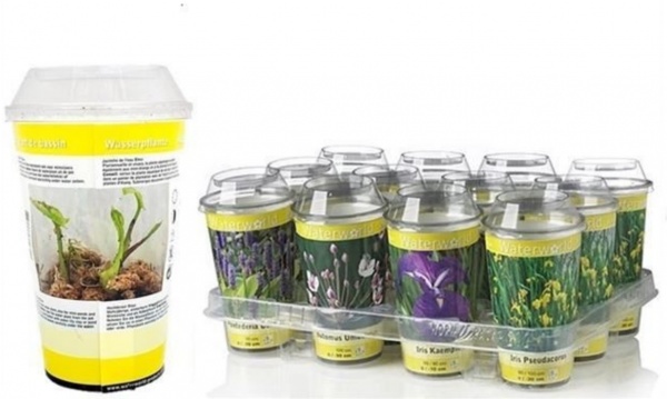 Растение Водные цветущие растения микс d10/h20