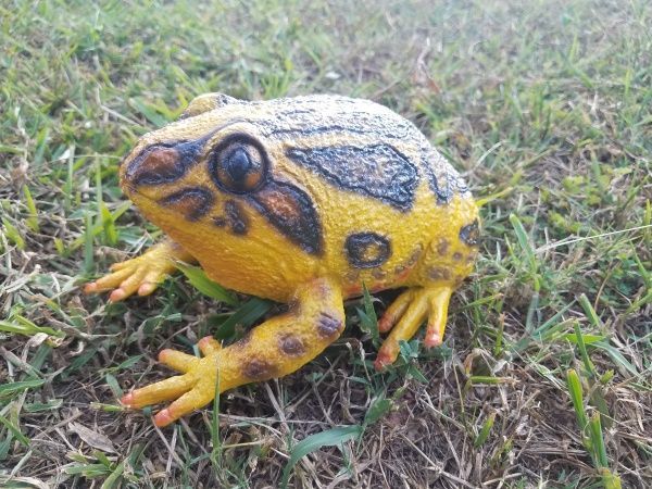 Игрушка Lanka Novelties Лягушка песчаная 21 см 21571 