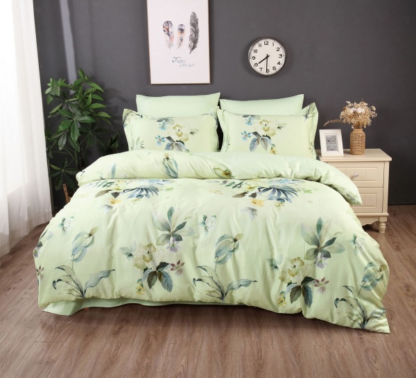 Комплект постільної білизни євро BC-0877 Word of Dream 