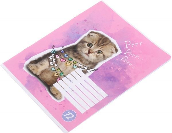 Зошит шкільний Cat 12 аркушів лінія 1 Мрії збуваються