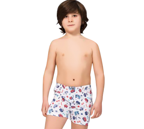 Трусы для мальчика Namaldi 300 р.140-146 в ассортименте 