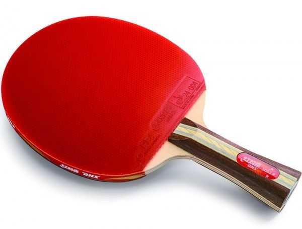 Ракетка для настольного тенниса DHS 3002 