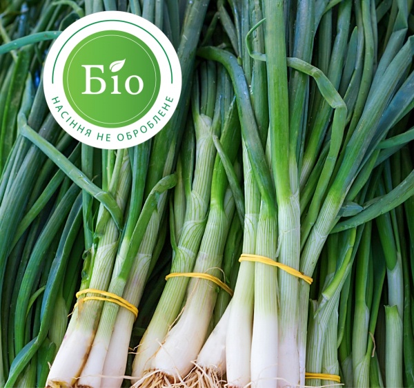 Насіння Професійне насіння цибуля-різанець Еверест 200 шт. (4820176692580)