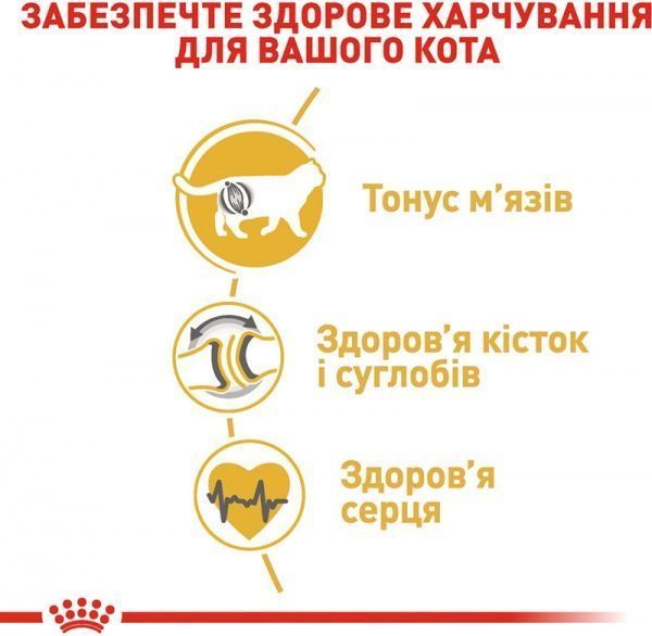 Корм Royal Canin British Shorthair Adult 4 кг