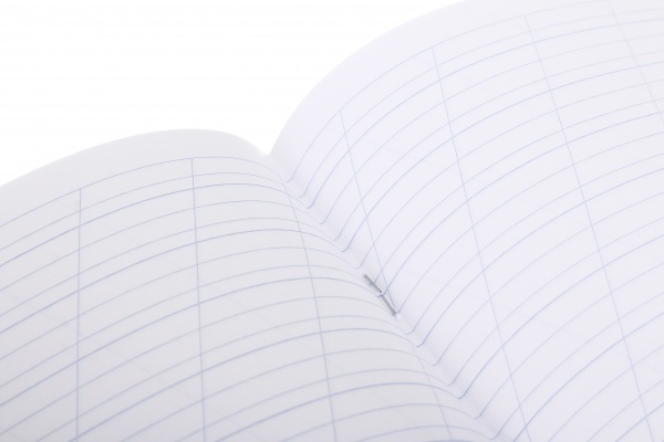 Тетрадь 12 листов коса линия 2023_1 Nota Bene