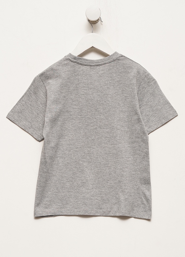 Футболка для мальчиков Sol's Regent Kids Never Give Up р.110–116 темно-серый меланж 11970350/2006A