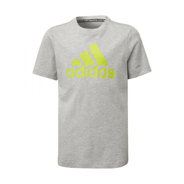 Футболка Adidas YB MH BOS T GE0685 158 сірий