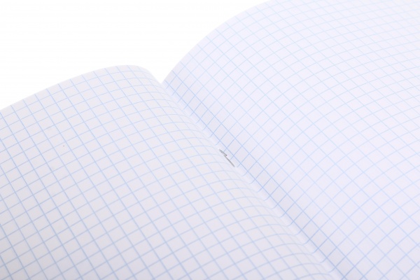 Тетрадь школьная 36 листов в клеточку Мечты сбываются