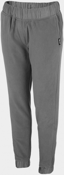 Штани 4F H4Z21-SPDD010-25S р. L сірий