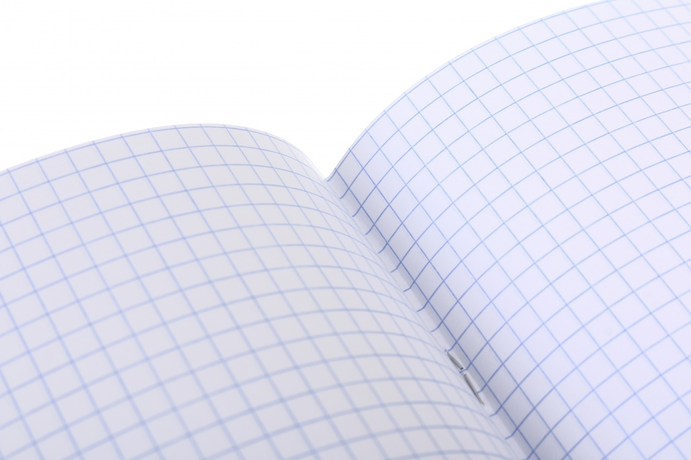 Тетрадь школьная Алгебра 48 листов в клеточку Nota Bene