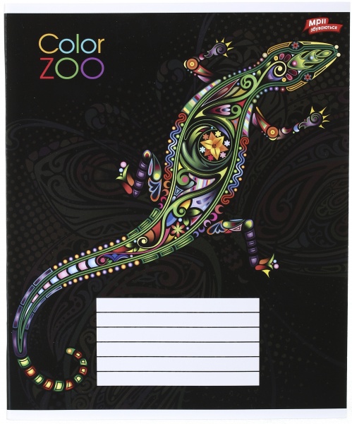 Тетрадь школьная 18 листов в клеточку в ассортименте Мечты сбываются