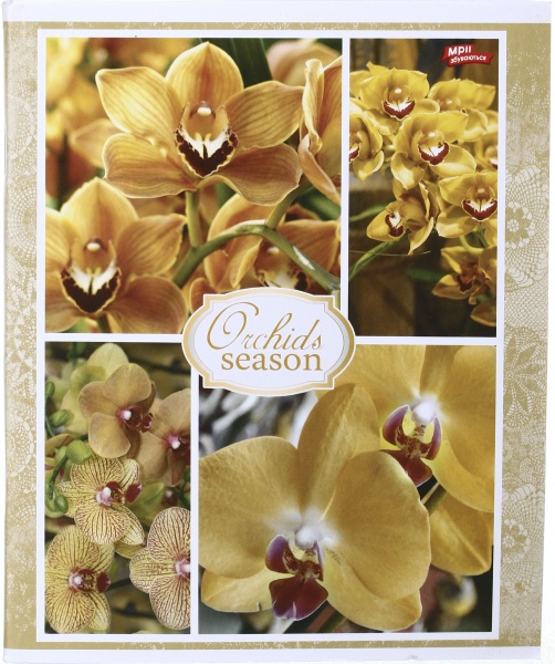 Тетрадь школьная 96 листов в клеточку в ассортименте Мечты сбываются