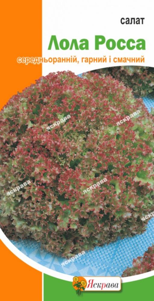 Семена Яскрава салат Лола Росса