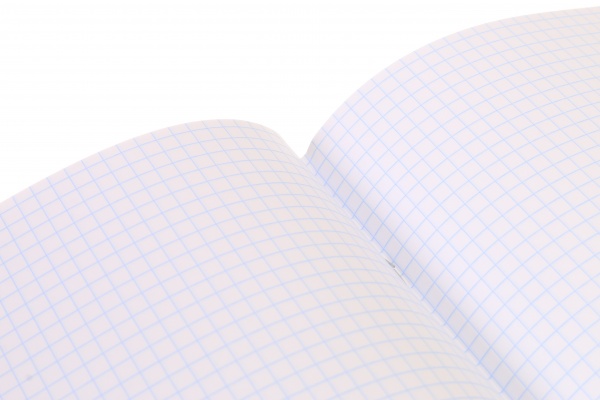 Тетрадь школьная Space скоба 48 листов в клетку Мечты сбываются