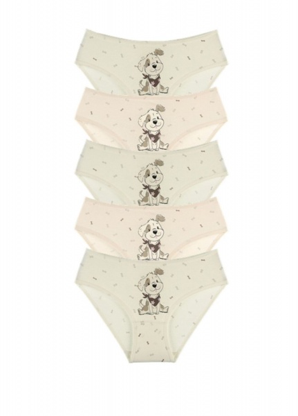 Трусы для девочки Donella 41825FU р.98-104 в ассортименте 