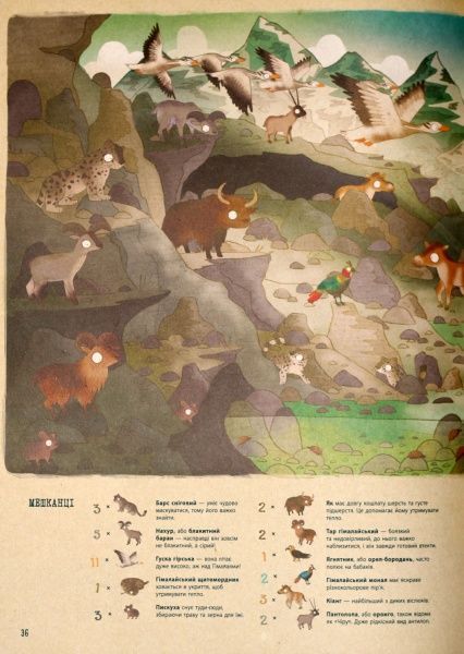 Книга Брендан Кирни «Путешествие к удивительному миру зверей: кругосветная поисковая экспедиция» 978-617-09-3771-1