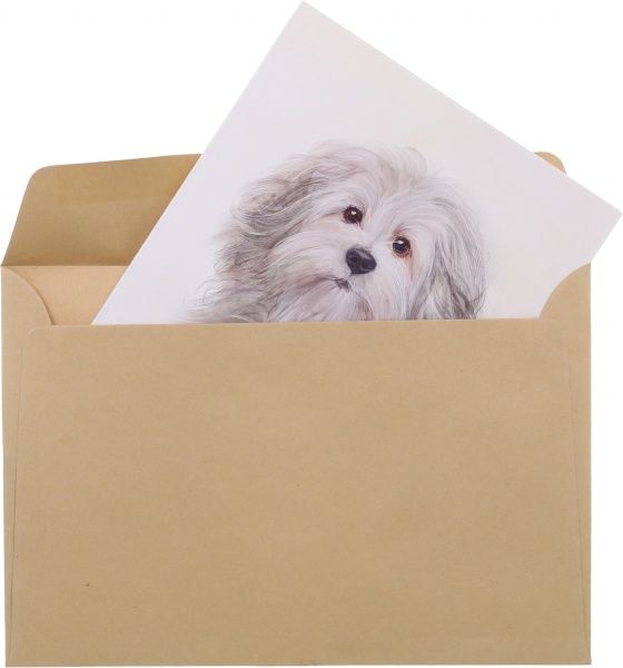 Листівка FZ001