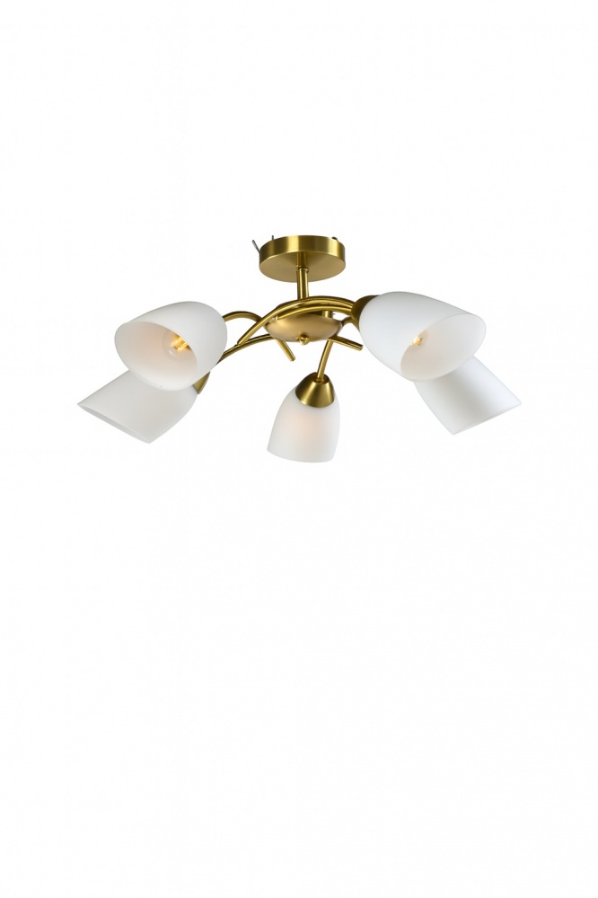 Люстра потолочная Sensio Barletta 5xE27 золото PR-PL72349-5