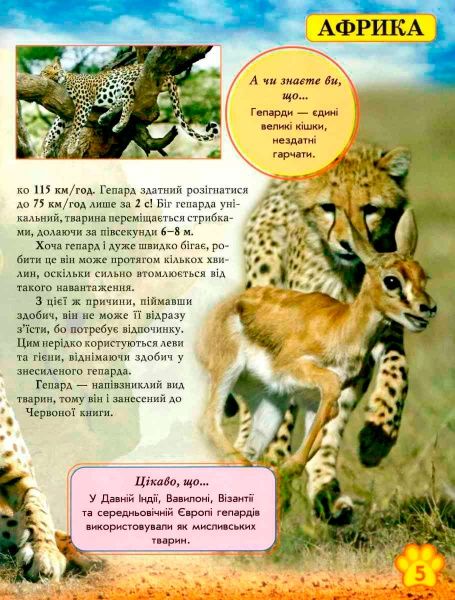 Книга «Світ навколо нас. Дикі тварини» 978-966-936-942-0