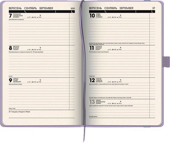 Щоденник датований Смарт Strong лінія Brunnen A5 2020 73-791 60 66