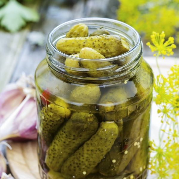 Семена Професійне насіння огурец Арктика F1 для маринования 10 шт. (4820176692849)