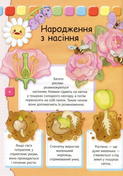 Книга Элеонора Барзотти «Человек: Большая книга для самых маленьких» 978-966-942-323-8