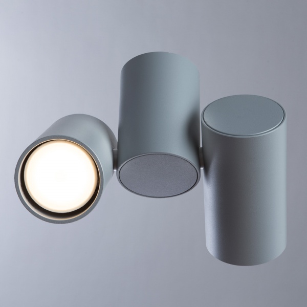 Спот Arte Lamp Gavroche 1354/05 PL-2 2x50 Вт GU10 серый 