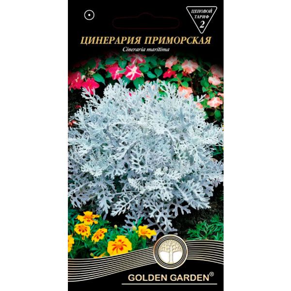 Семена Golden Garden цинерария приморская 0,1 г