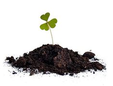 Грунты и посадочный материал