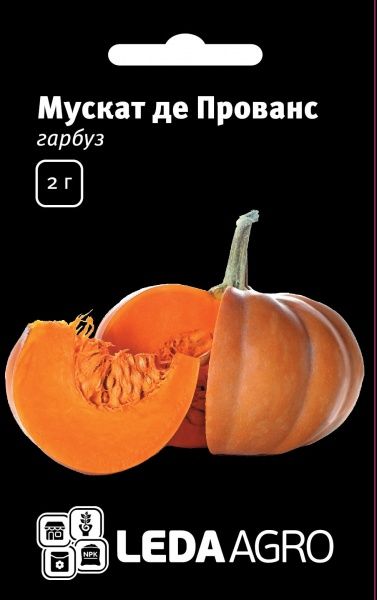 Насіння LedaAgro гарбуз Мускат де Прованс F1 5 шт. (4820119792315)